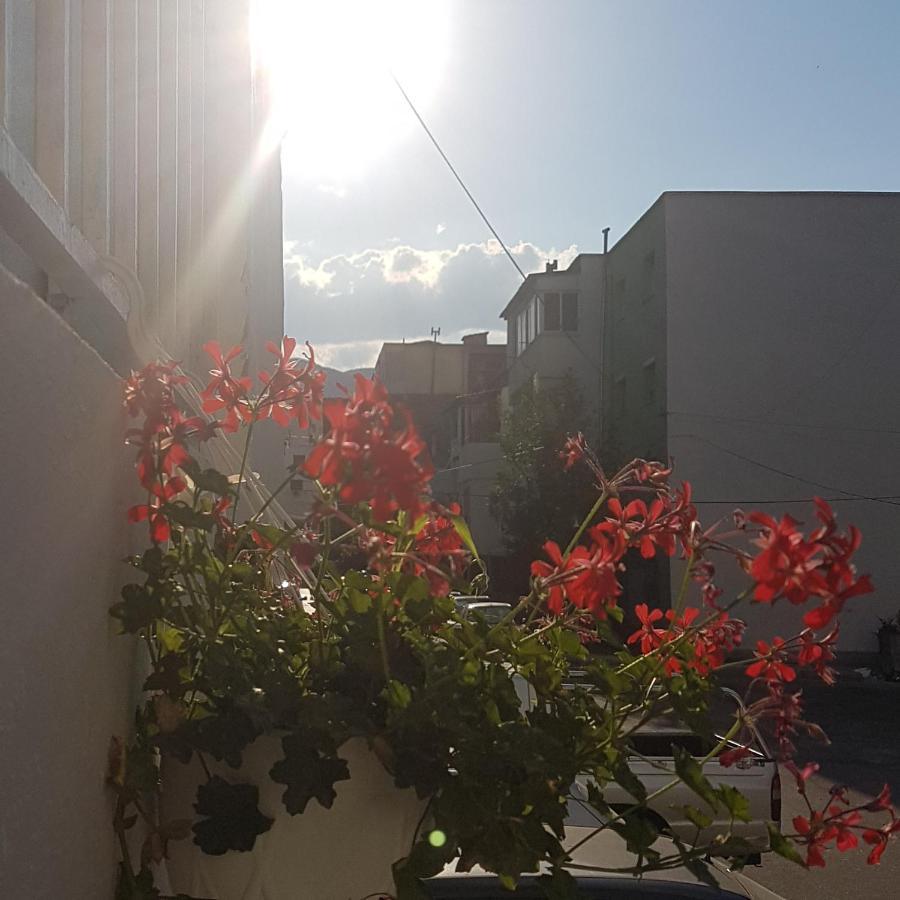 Klent Studio Apartment Pogradaş Dış mekan fotoğraf